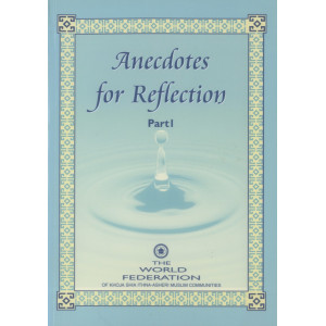 Anecdotes for Reflection - Part I