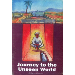 Journey to the Unseen World - Abridged and Illustrated