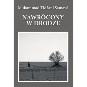 Nawrócony w drodze (Polish Language)